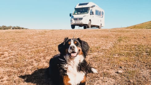 Volledig Uitgeruste + Autonome 4p Fiat Semi-Integraal met Level Systeem