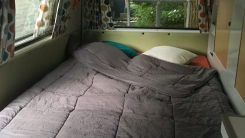 Frenk – Frenk, a beautiful T3 camper is looking for travel companions