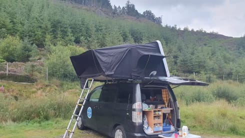 Gerald  – 4 berth Toyota rooftop safari tent  price includes insurance !