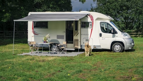 Making Memories! – Spacious luxury camper fully equipped (2-4p) - Central Veluwe