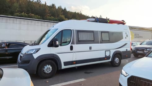  Swan – Nuovo Bravia 636 Swan