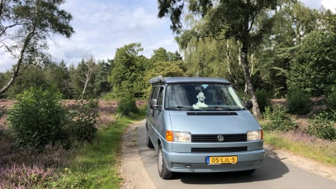 Bussie – 4p Volkswagen bus from 1996