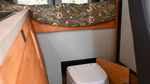 3-seater Peugeot bus from 2026