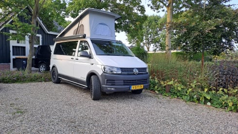 Cornelus  – 4-sitziger Volkswagen-Bus aus dem Jahr 2017