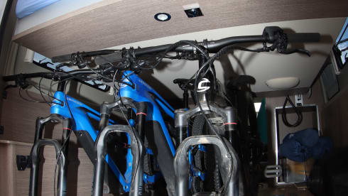 Sports van - Surf & Bike (electric)