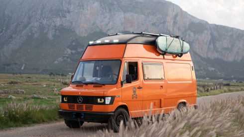 Maui – VAN MERCEDES WESTFALIA T1