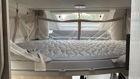 Ford Challenger von 2019