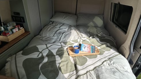 Willow – Willow Luxury VW campervan with everything included 