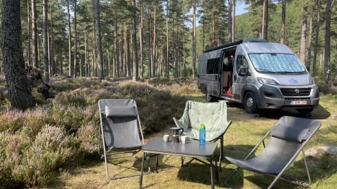 Gekke haai – Crazy Shark - 4p Fiat campervan 
