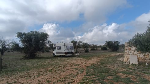 Fiat Ducato Burstner  – Travel with our Danpsy '80s!