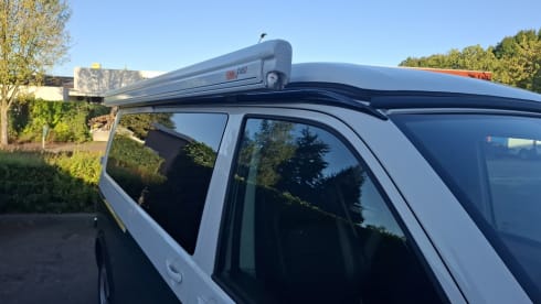 2-seater Volkswagen bus from 2016