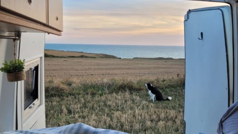 Vino – Vino de Van 3p Volkswagen campervan