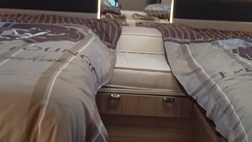 4p Roller Team integrated from 2016