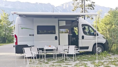 Forster V599VB – Forster V599VB