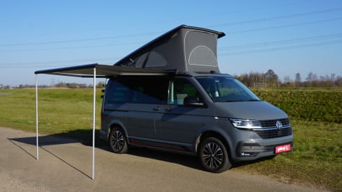 Discover freedom with this young Volkswagen California Coast