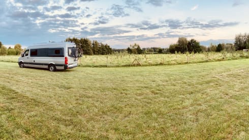 4p Volkswagen bus from 2015