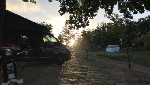 WOLF TRAIL – FORD NUGGET PLUS TRAIL 2022, economical and full option
