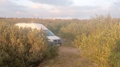 Nomadentraum – VW-Bus mit Hochdach