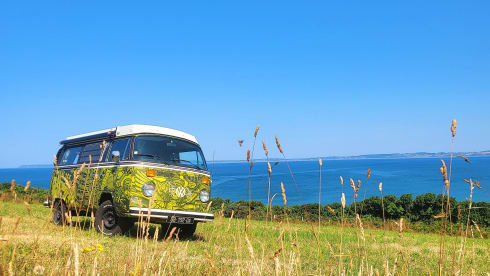 ELVIS  – Vintage Trip, westfalia combi