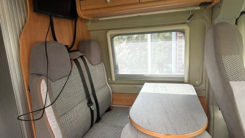 Buckies Travel House – Autobus Fiat a 2 posti dal 2026