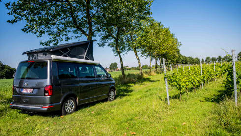 VW California 6.1 Ocean (2022) - 4 Persons - Automatic + Bicycle rack