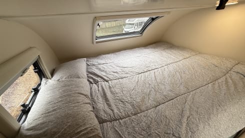 Forest – 6 berth Roller Team  675 Auto