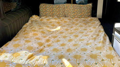 Arie – 4-Sitzer Renault Wohnmobil aus dem Jahr 2017