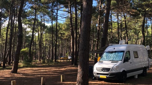 Tebby de camper – Mercedes Sprinter Tebby, der Camper!