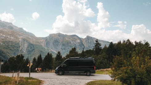 3p Peugeot bus from 2017