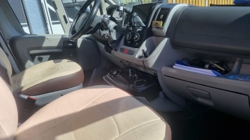 Fiat Ducato benimar. Benivan 145 – 2p Fiat bus uit 2010