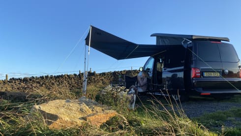 Bentley  – Gorgeous Blackberry VW T6 Campervan with Starlight Ceiling 
