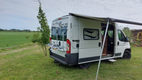 Black edition – Fiat ducato 2p bus camper