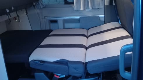 César – 4p Ford campervan from 2024