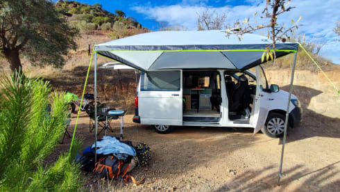 Shenkie – 2p Volkswagen campervan from 2015