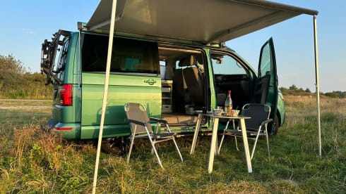 FREE MILEAGE! Travel with this VW California Ocean Bulli T6.1