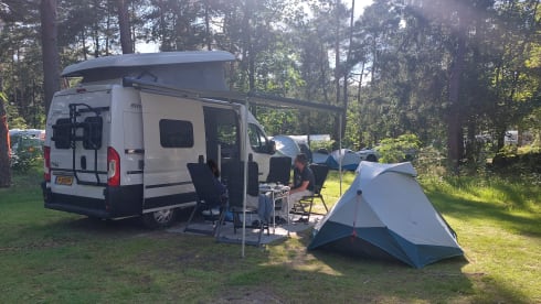 4p Hymer bus from 2019