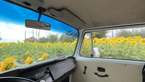 Volkswagen T2 bus from 1985