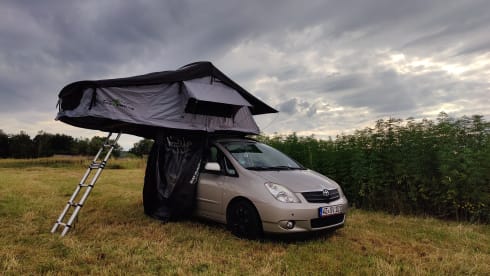 Toto – Micro Camper mit Dachzelt und Küchenbox