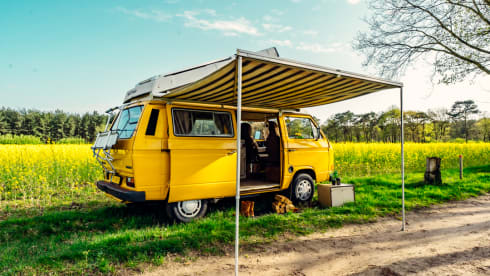 Simba – the yellow retro Volkswagen van with lifting roof