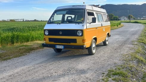 FRANCO - Vw T3 Westphalia