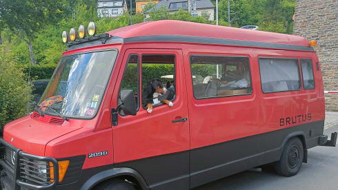 #Brutusss85 – 4p Mercedes-Benz bus from 1985