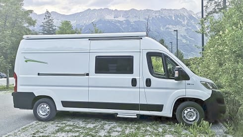 Forster V599VB – Forster V599VB