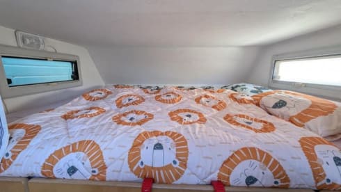 Freddy-van  – Comfortabel and spacious Iveco overcab motorhome for rent
