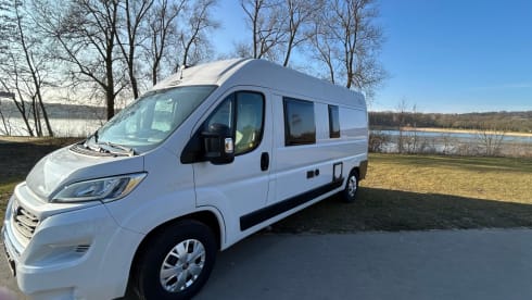 Duc – Beautiful light 2p Fiat bus from 2019