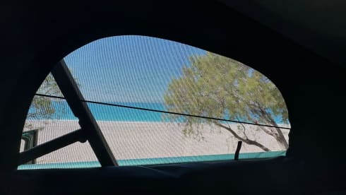 KILOMETERVRIJ reizen met deze VW California Ocean Bulli T6.1