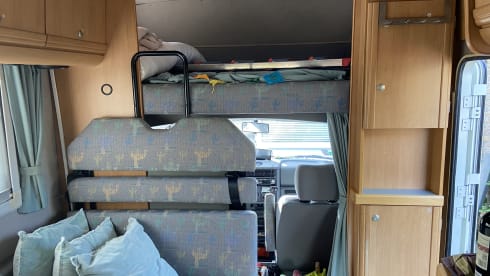 Pareltje – Freedom at its best!