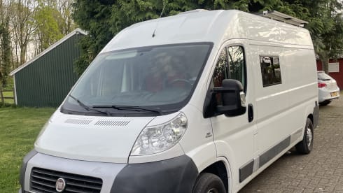 Minibus Fiat 2 places de 2012