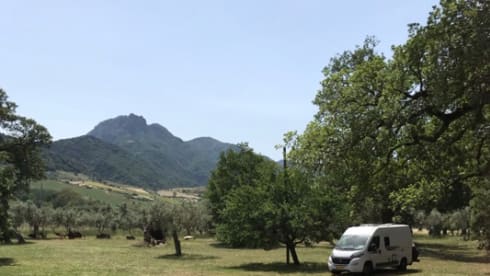Soestdijk – 2 person bus camper from 2017, Roller Team Livingstone Prestige