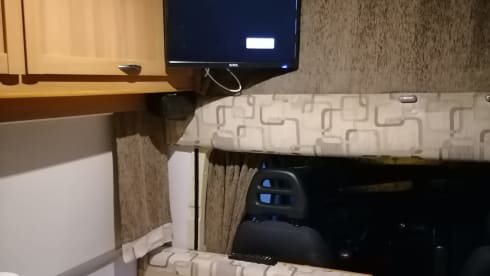 SAMO – FREE TO TRAVEL