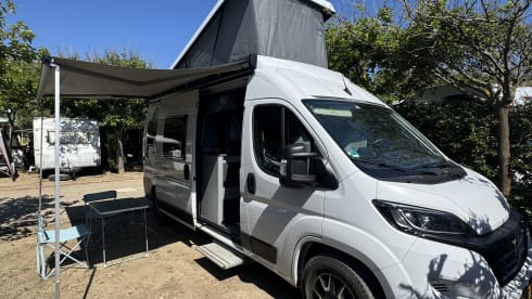 4p Fiat Weinsberg buscamper 2023
